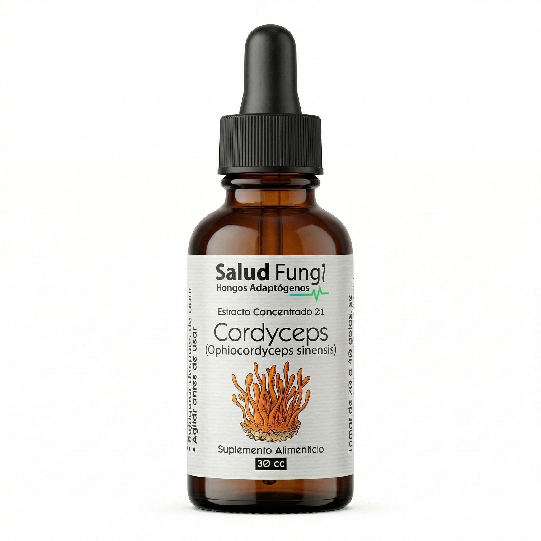 Cordyceps - Cordyceps Militaris